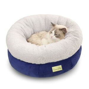 Peto-Raifu Lxbh lR LbgEhxbh ybg\t@ ybgxbh ybgNbV Lbgxbh H~ ӂӂ g h΍ 薰 􂦂 ~ ϋv