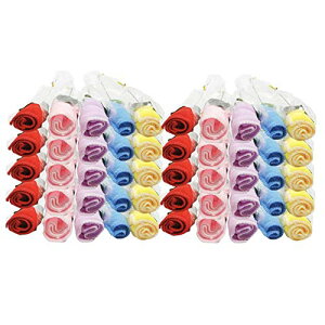 KINOKINO o ԑ ^I t[ o^ nJ` v` Mtg v[g  (5F 50{ Zbg)