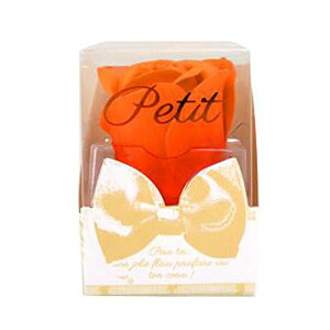 L[t(Q-FLA) \[vt[ 1 petit OR IW Mtg 蕨  Mtg 762208