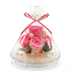 IPFA vU[uht[ KXh[ GWF v~A (sN  sN) a j LO ސEj җj v[g Mtg lC  o j   t