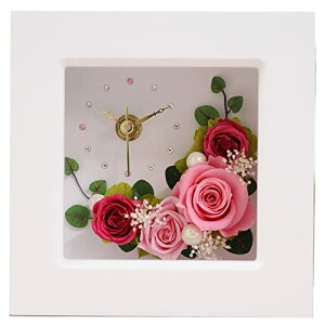 IPFA vU[uht[ uv (sN) v[g a Mtg  v җj ސEj j LO j  lC  t[Mtg Ԏv җ Ê 