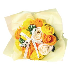 |s[É \[vt[ V{t[  Mtg v[g 12փu[P o ԑ 26cm NAobOt SBL-11 