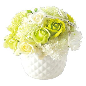 |s[É \[vt[ V{t[  Mtg v[g u[P|bg o  17cm NAP[Xt SBL-100 O[