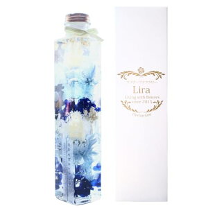 n[oE LTCY(21,3cm) 1{ { MtgBOX v[g 2025 t[Mtg 蕨 ̓ j (prEu[)