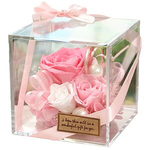 IPFA vU[uht[ AN XNEFA BOX (sN) a v[g j o j ސEj җ  Mtg ANL[u VV  lC LO