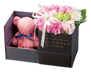 ^Î܁ Zbg Mtg \[vt[ BOX t a 蕨 CeA ̓ w Ǝ(sN)