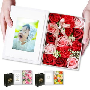 TUKUMO ubN^\[vt[ tHgt[ ʐ^ Mtg {bNX L 2L ̓ ԑ wj Əj a v[g ސEj EFfBOtHg (bh)