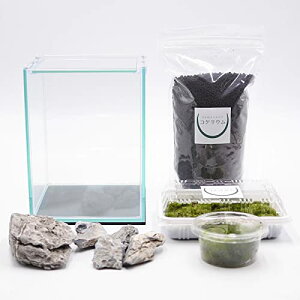 RP̃CeA RPE ͔|Lbg eE Lbg ۖ~ Zbg RPELbg X̊R ؐ(t^t)