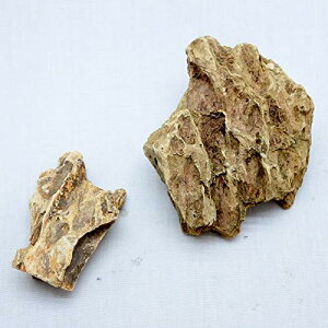 RP̃CeA RPE eE RPE  VR CE΃CAEgZbg (`󂨔C)