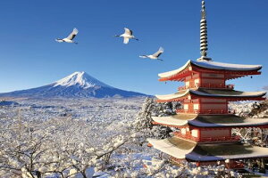 やのまん(Yanoman) 【日本製】1000ピース ジグソーパズル 日本の風景 鶴舞う冬景色の富士山 (山梨) (50x75cm) 10-1481 ピース請求ハガキ のり付き へら付き サービスカード付 ジグソーパズルのトリ