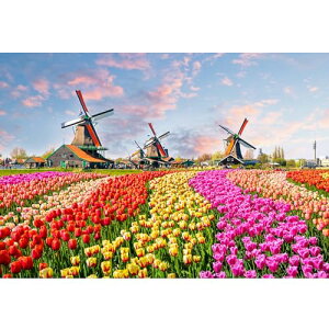 MISITU ジグソーパズル マイクロピース 1000ピース パズル 風景 自然 花 花畑 花園 風車 プレゼント 誕生日 クリスマス おしゃれ インテリア チューリップ (26 x 38 cm)