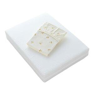 HashkuDe xr[Ŗȕ~zcƕ~tBbgV[cZbg xr[ Ŗ ~zc ~V[c (~jTCY, ځFAC{[)