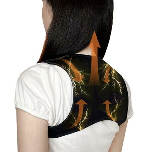 wNX pEMS EXT1 pT|[^[ Lwxg pxg jp wÖ@mlĂ̐s̔ɂ400z̎x EMS