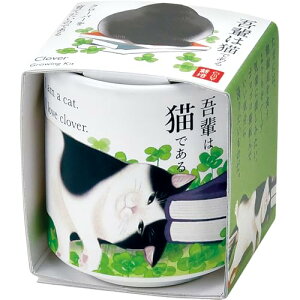 V| ʔN ƒ؉ ͔|Lbg u ł傱 yL v N[o[ ~j ȒP Ă  ͔|Zbg (R) ̓ a v[g ̌a 4cm { GD-102804