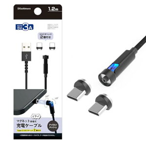 JV RlN^wbhƃP[u}OlbgŊȒPE Type-Cp }Olbg [dP[u 1.2m Type-C RlN^wbh2 ubN NAJ-650