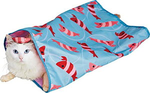 �y�e�B�I (Petio) �L�p�������� �G�r�����Ղ�̃V���J�V���J�ʂ�ʂ���