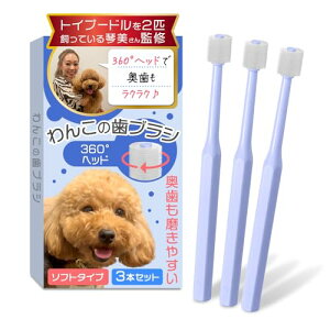 わんこの歯ブラシ(小型犬専用)【トイプー2匹の愛犬家監修x360度タイプ】3本セットx奥歯も磨けるヘッドが小さいモデル (ライトブルー, 15cm)
