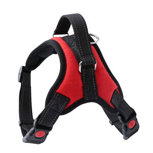  n[lX EȂ ^  obN bV 킢  v