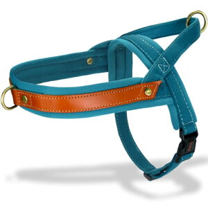 Bubutas  n[lX ^/^/^  uh Ȃ h~ t`uhbO TCY߉\ ʋC bV s⏕ U p y S Pݖh~ P