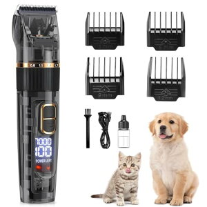 Caseeto ybgpoJ L  oJ doJ ybgpO[~OZbg   K Sg̃g~O R[hX nsĐ؂ /L/ɑΉ 3iK̑x