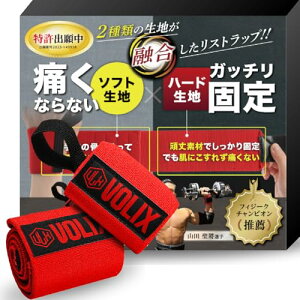 `l Xgbvyo蒆2ނ̐nZăKb`Œł̂ɁAɂȂz؃g  T|[^[ x`vX (bh×bh)