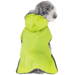 hM[} ChicchaI ppbƒ |Pbg悯JR[g S C pCR[g  STCY