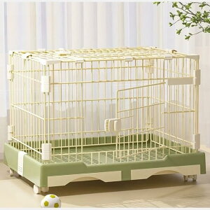 qρ_msmr Ep ybgP[W 74×49×56cm gȒP LX^[t g[uAt 2 J OJ P[W ^ L Iׂ5F (74×49×56CM, O[)