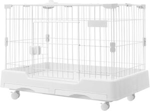 N&S ybgP[W P[W LX^[t gCt ogC L p t V Eh~ gȒP |ȒP  lR  nX^[ Lbg xe 