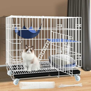 Athvcht LP[W LpP[WLnEX i 68cmX49cmX65cmAAzCgj pL̃Q[ W 傫ߓP [ W ^LpP [ W L ܂ݎ ړ֗ gȒP O\ȃybg