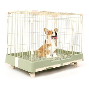 Aikenn ybgP[W P[W LX^[t T[N LP[W ybgT[N ybgtFX ogC L p t Eh~ gȒP |ȒP  lR  yb