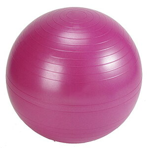 ACR(ALINCO) oX{[ 55cm GA[|vt WB124P sN