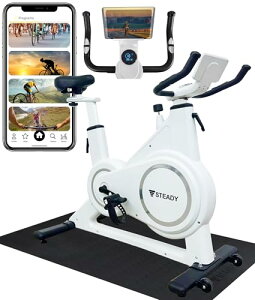 STEADY XsoCN PlusyZwift/AvA/É/gȒPz GAoCN tBbglXoCN ƒp ST145(zCg/}bgt)