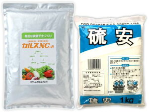 JX NC-R  Zbg e1kg T[yY 엿 yǍ 