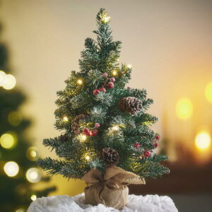 X}[gEAC(smart-i) NX}Xc[ c[ Wish(EBbV) 45cm RpNgc[ LEDCgt  Vv RpNg k ȒPgݗ NX}X Xmas rO _