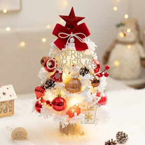 y2024VozNX}Xc[   ~jc[ k LED NX}Xc[ dr NX}X I[ig  CeA    X 킢  v