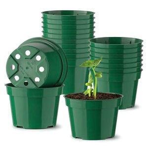 3 c|bg 20ZbgAy rt  vX`bNAh~ A | |bgiO[A20j