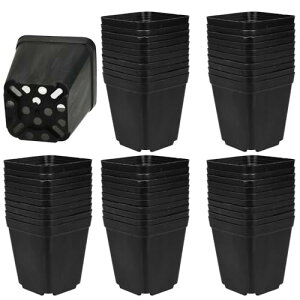 cv^[ c|bg lp` r h~ ƒ؉  A n[u 50