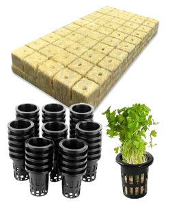 S.fields.inc bNE[ubN k͔|p|bg 50Zbg cLbg 25mm