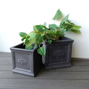 EbhM[ Skog sXNGA|bg 6 8 O[ v^[|bg v^[ O[ gray lp ` 8 6 t[|bg i` AeB[N v^[ | K[fj