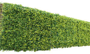 rOAEg(Living Out) {^jJtFX {bNXEbh 1×1m {bNXEbh oh12{t ȒPݒu Hsv ډB vCoV[ی sv |G`