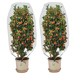 iikuru A Jo[ 2Zbg ȒP ی h 悯 h ΍ |pi v^[ ϗtA lbg ya059