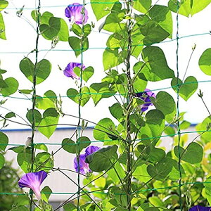 Albg ͔| |lbg p10cm a2MM R ω׏d hHDPE lp[vt tȒP _   O イ/Z/o oA ԙplbg K[fjOlbg