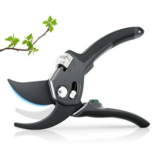 y2025lCt̂߁zoT~ Pycuse  ΂ 2iK߉\ SK85Yf| ϋv5{ ɂlԍHwA~Obv }؂oT~ |nT~ |p͂ Kт