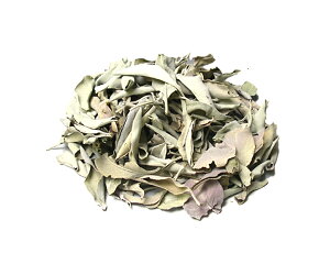 y ɐ { zy zCgZ[W t̂ z  Z[W X}bWO t I[ p[Xg[  n[u [t