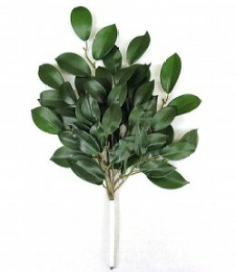 y ɐ { zy ԍt  z50cm 25cm _I _ _Ջ   TJL TJL {t