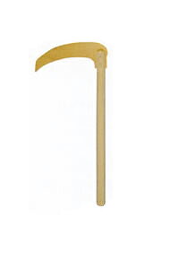 y ɐ { zy  zS52cm 24cm O՗p ؑ\O   L      n՗p