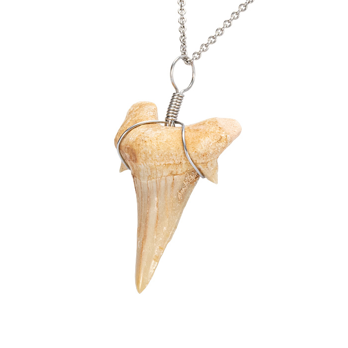ペンダントトップ サメの歯（オトダス・オブリクゥウスの化石） 小 No.1