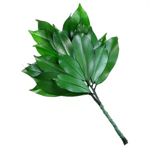 y ɐ { zy vU[uh  S iYj 1΁i2j z19.5cm 30.5cm t   Y {