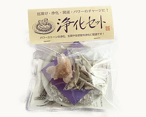 y ɐ { zy 򉻃Zbg NX^[iq}Yj z13cm c15.5cm  Zbg NX^[  zCgZ[W J^   p[ `[W VR p[Xg[  