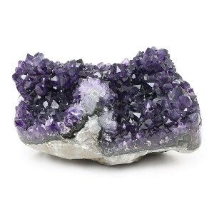 yyVX[p[SALEzy10%offzVR  AWXgNX^[ iEOACYj No.218